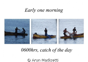 Someone was blowing a conch at 430 this morning, indicati... by Arun Madisetti 